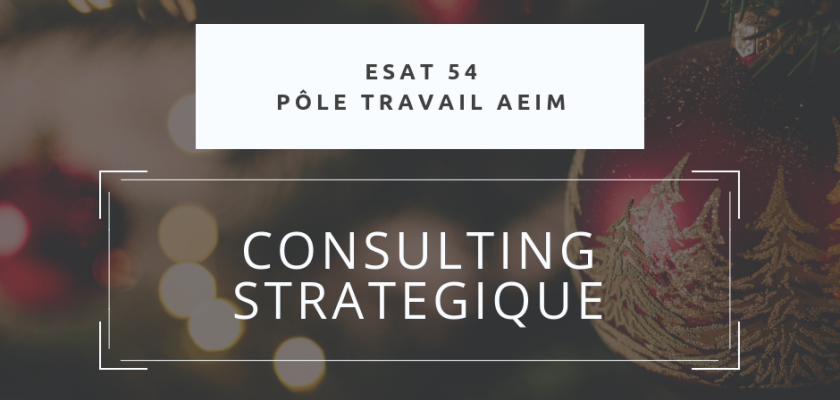 Mission de consulting digital pour les ESAT de Meurthe et Moselle.